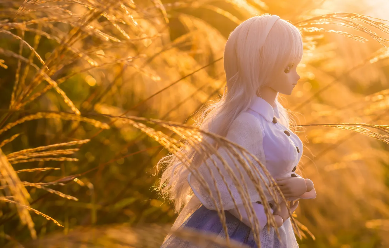 Photo wallpaper grass, toy, doll, blonde