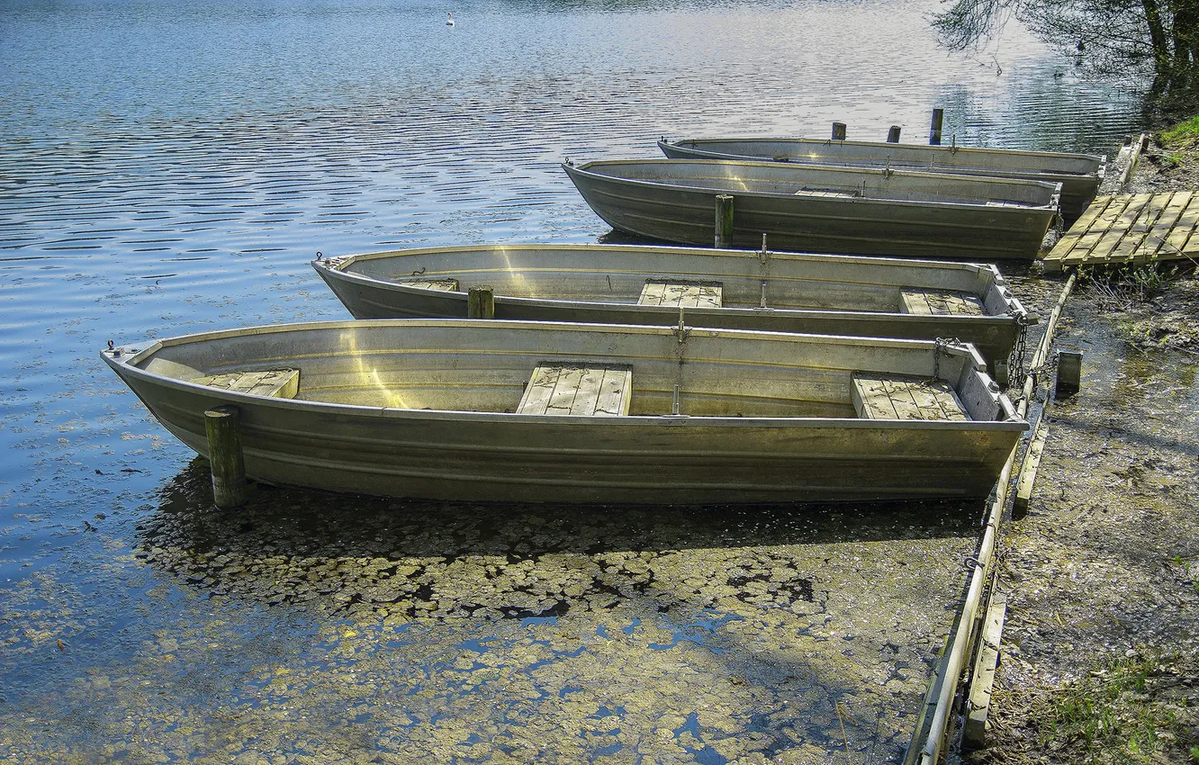 Photo wallpaper water, pond, boat, backwater
