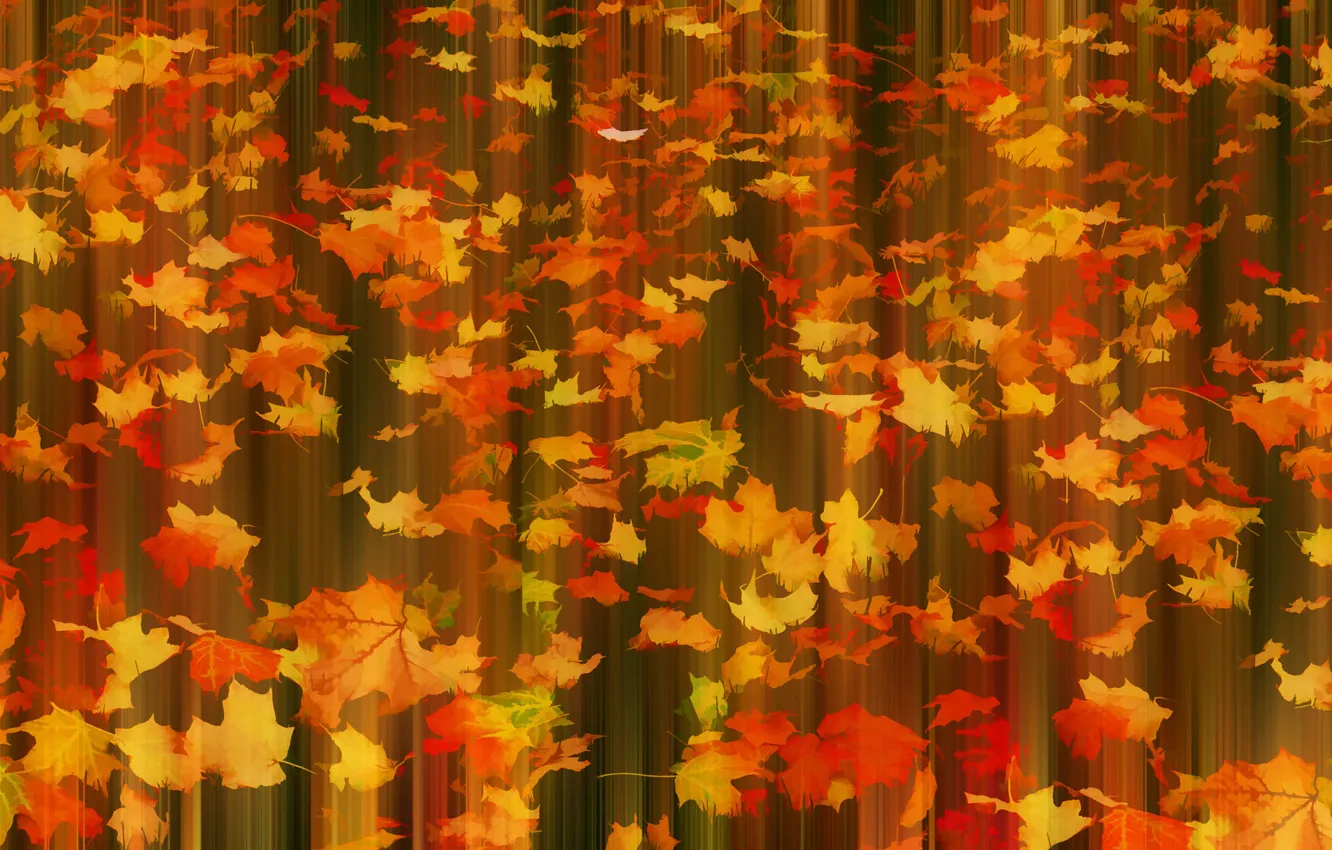 Photo wallpaper autumn, leaves, Fall in motion