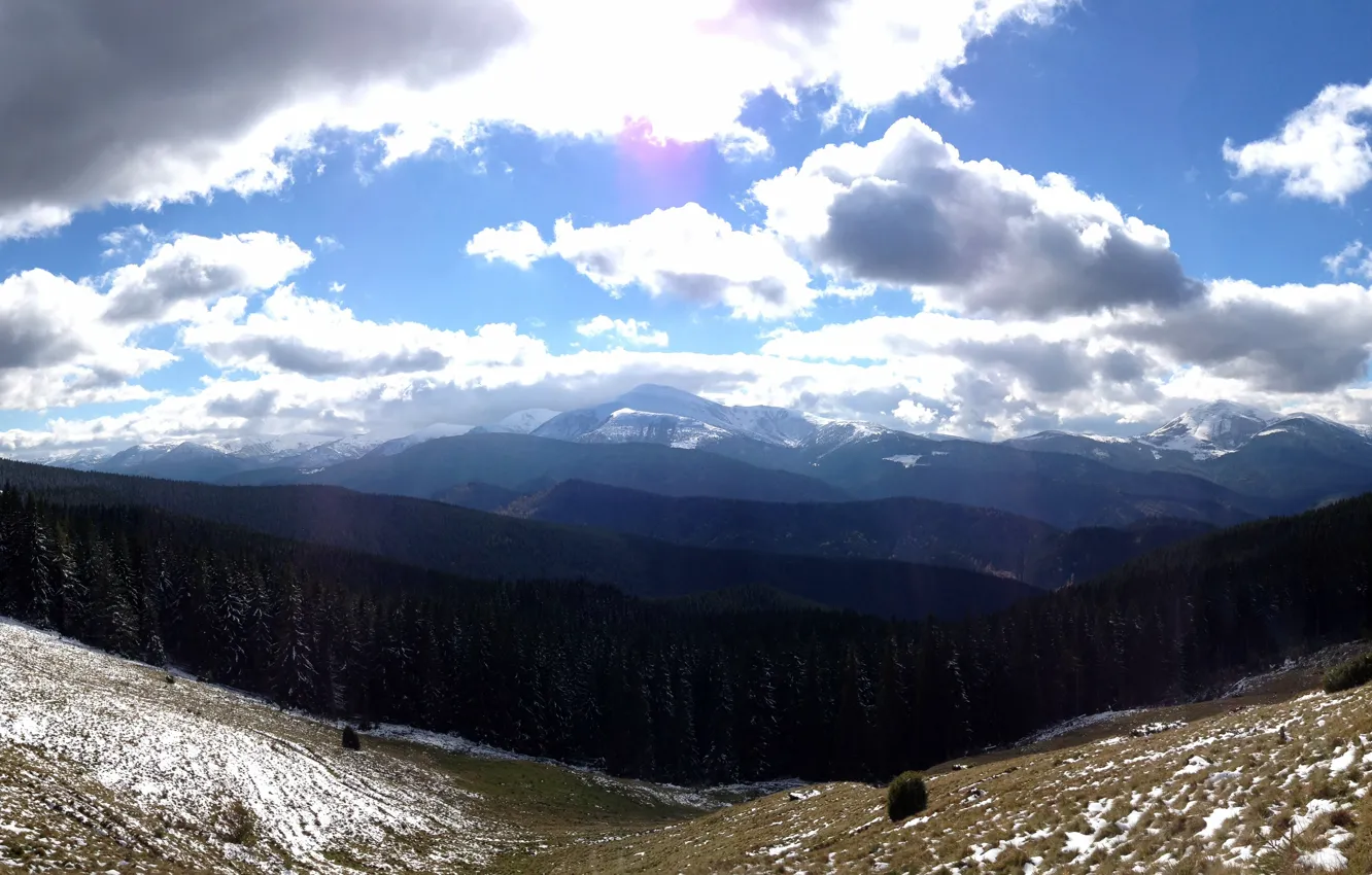 Photo wallpaper forest, clouds, burns, Carpathians, Goverla