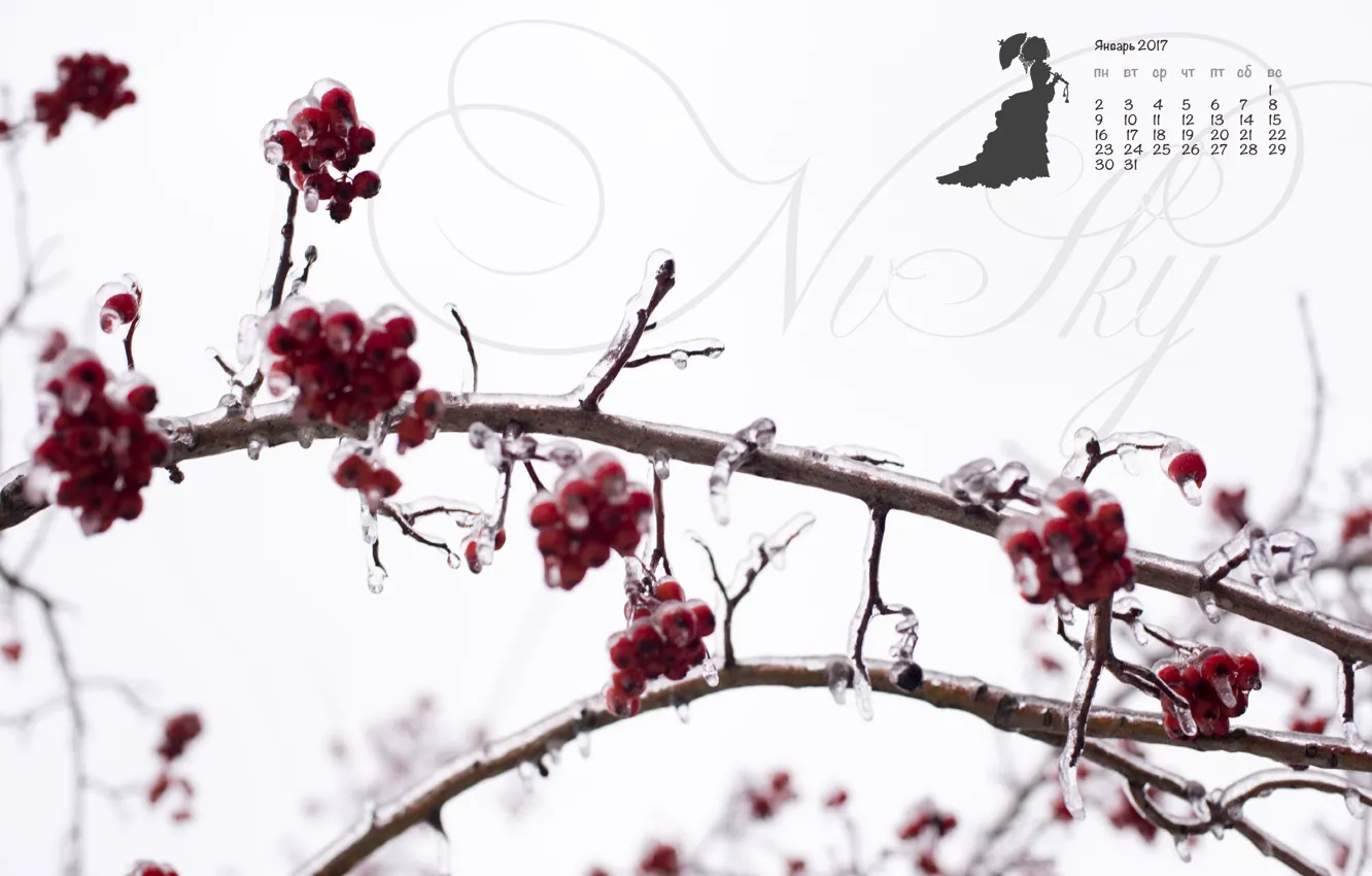 Photo wallpaper ice, winter, berries, red, white, contrast, calendar, Rowan