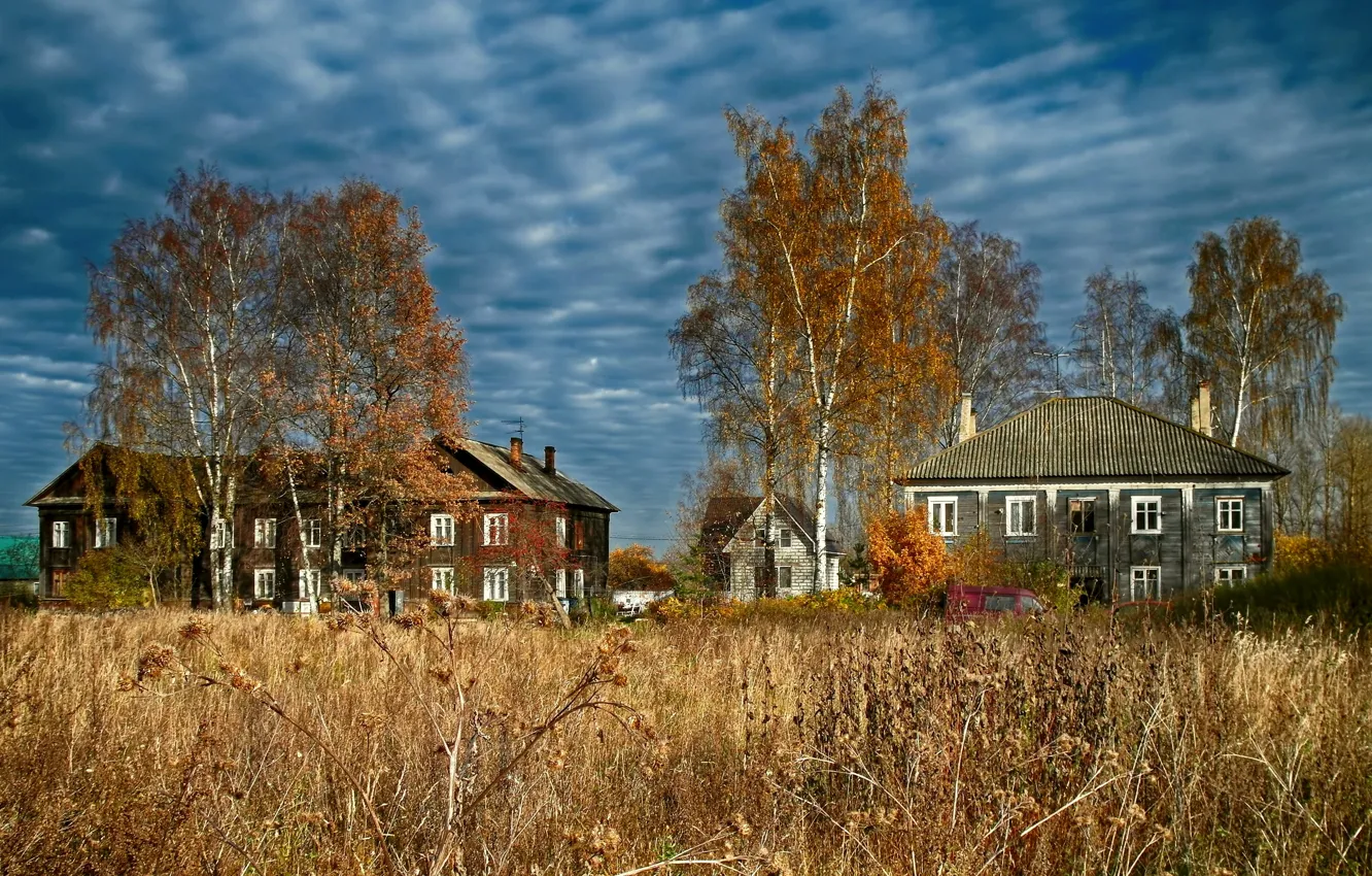 Photo wallpaper autumn, home, wooden, agrimony, Dubrovka, Nevskaya