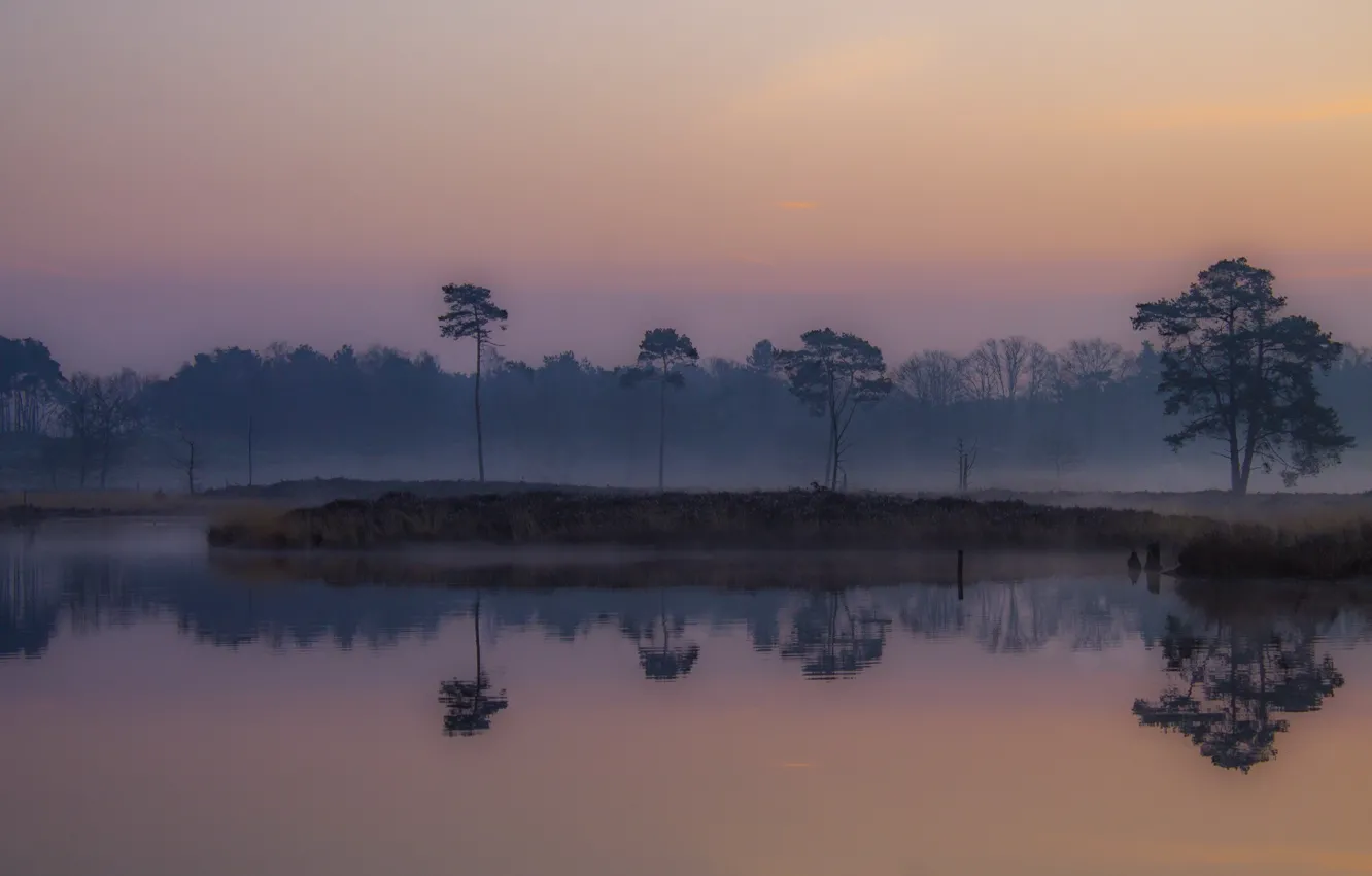 Photo wallpaper fog, dawn, morning, fens