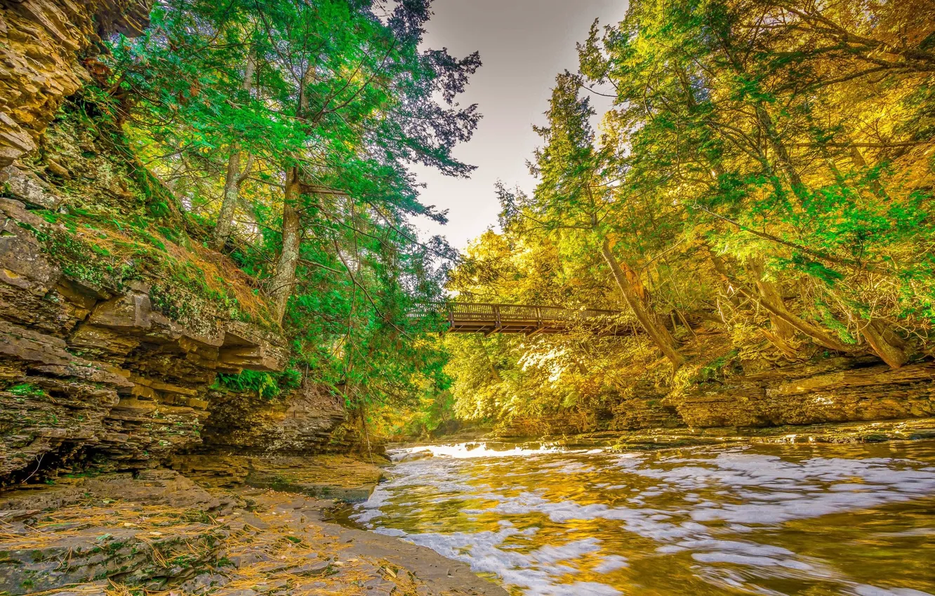 Photo wallpaper autumn, trees, bridge, river