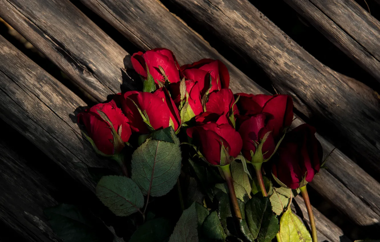 Photo wallpaper flowers, Board, roses, bouquet, buds