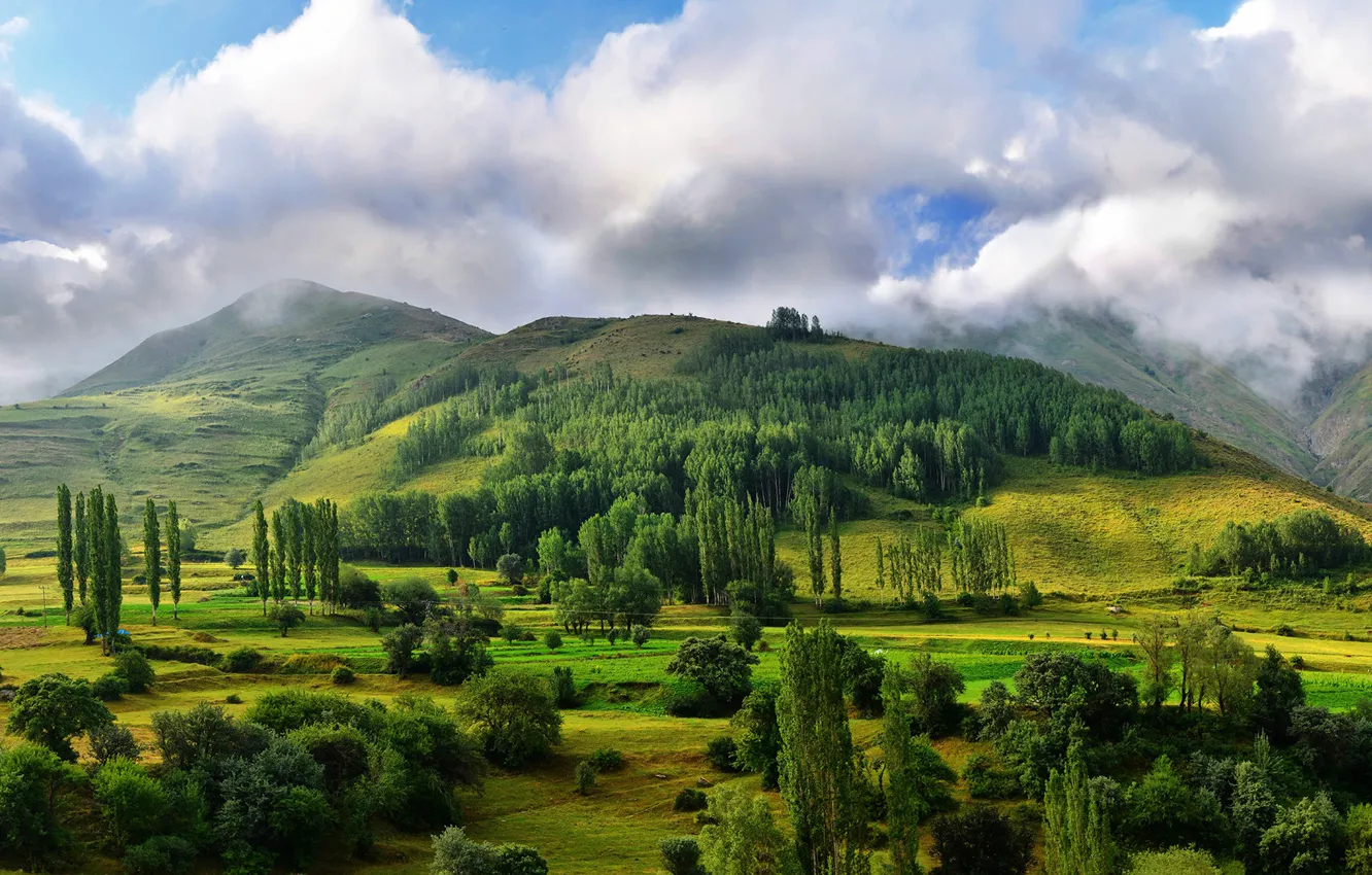 Photo wallpaper field, Turkey, Turkey, mountains, Kareni, clouds