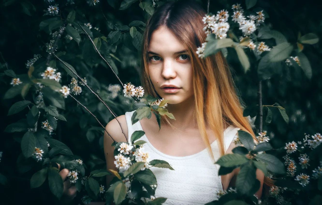 Photo wallpaper look, girl, flowers, branches, face, hair, portrait, flowering