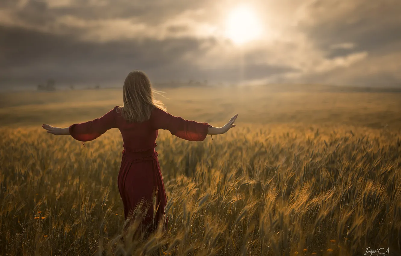 Photo wallpaper wheat, field, girl, the sun, the wind, back, Antonio Conde