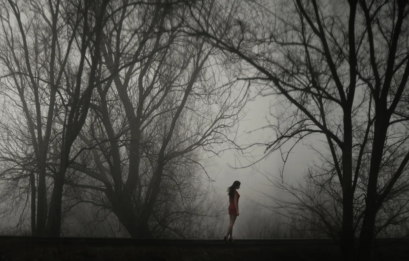 Photo wallpaper girl, trees, fog, loneliness