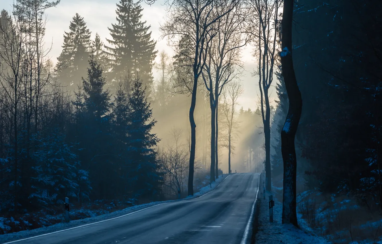 Photo wallpaper road, fog, morning