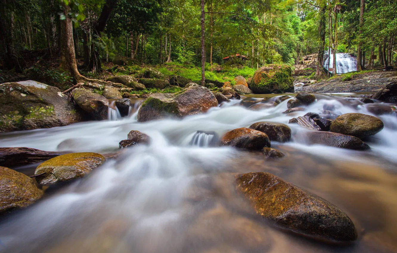 Photo wallpaper forest, river, stones, waterfall