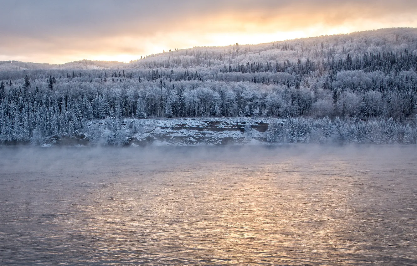Photo wallpaper winter, forest, river
