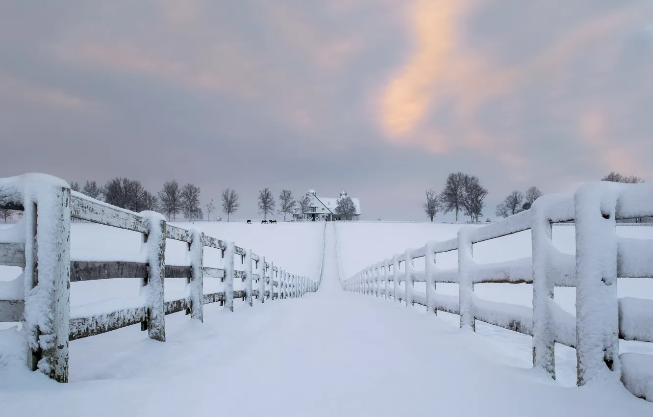 Photo wallpaper road, snow, house, the fence