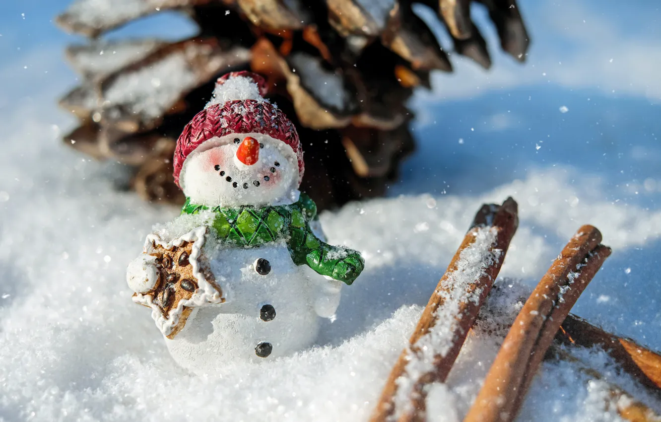Photo wallpaper winter, snow, pose, smile, holiday, hat, toy, new year
