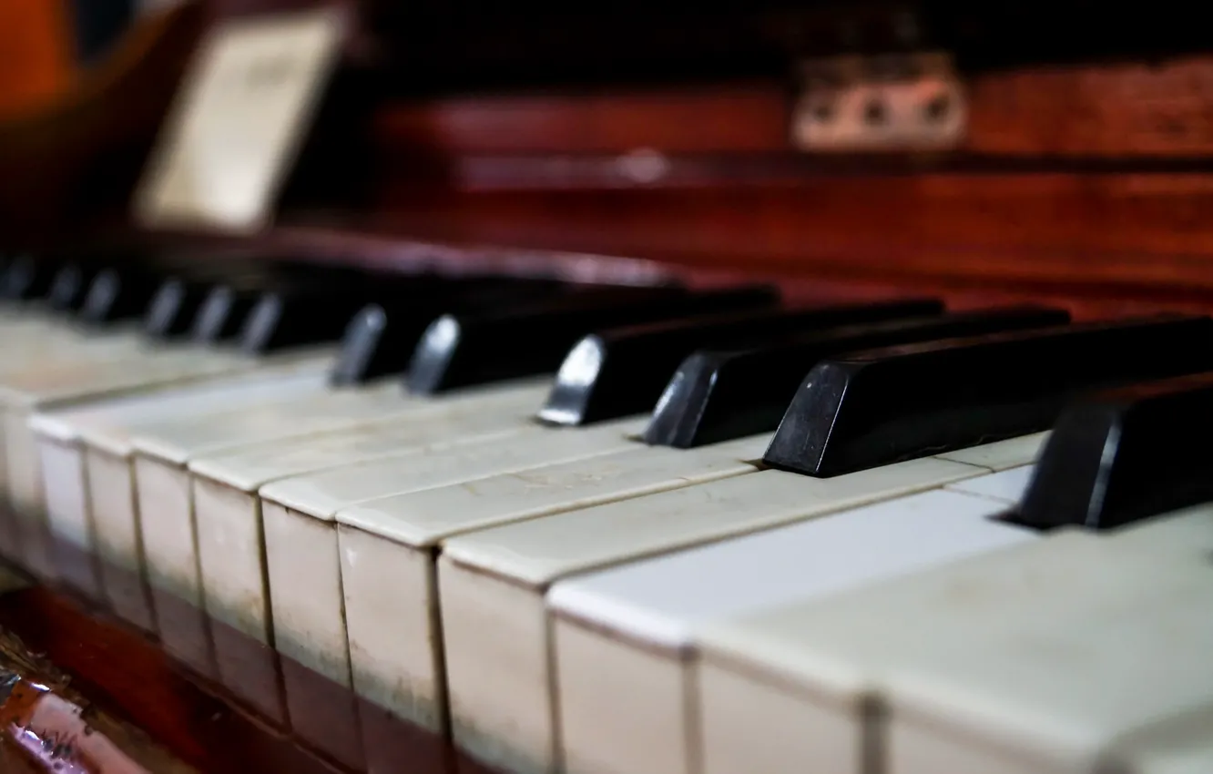 Photo wallpaper macro, music, piano