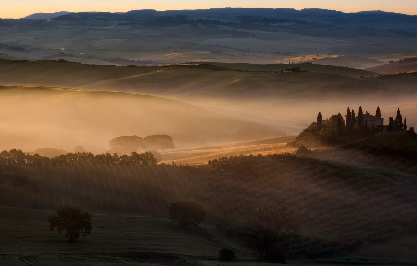 Photo wallpaper field, light, trees, mountains, nature, fog, hills, home