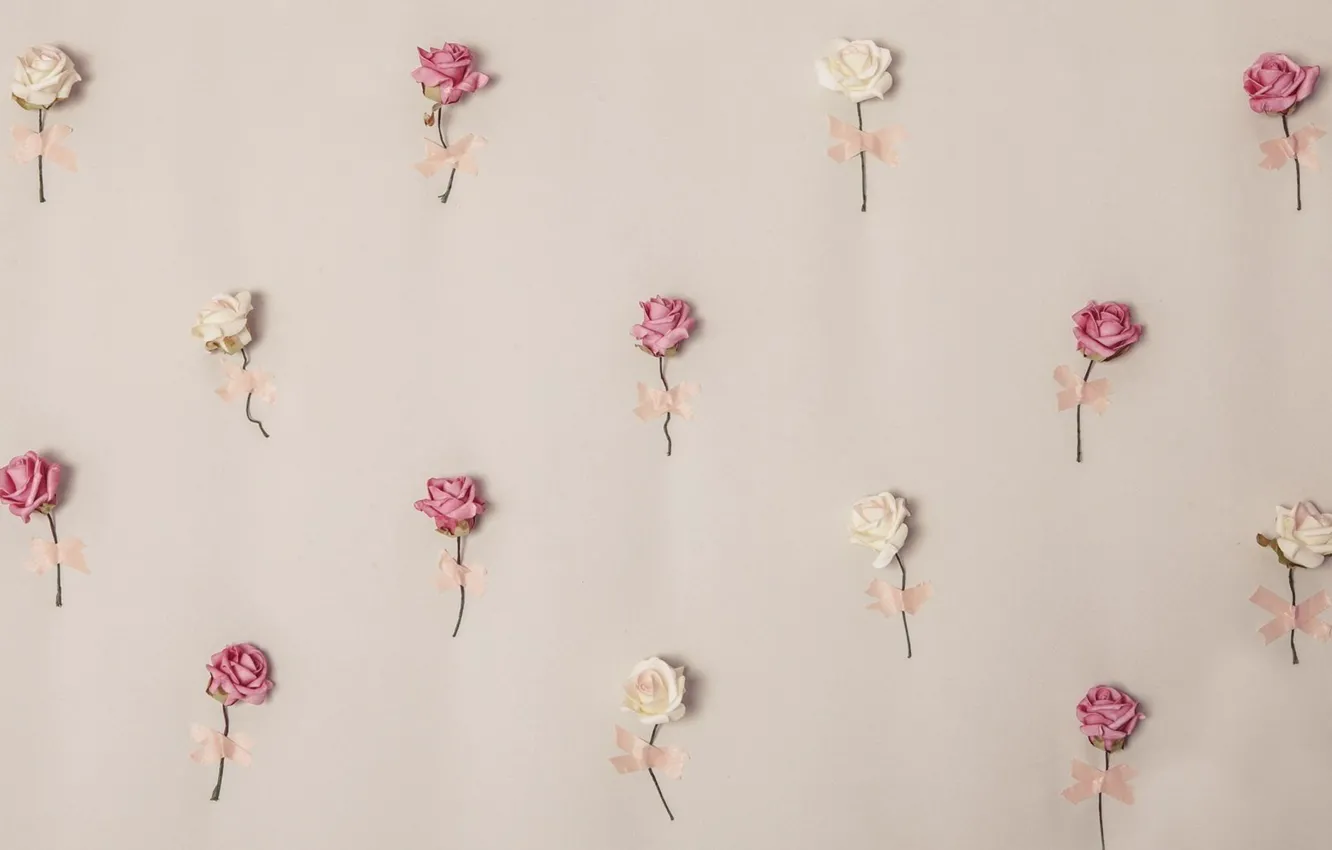 Photo wallpaper flowers, roses, petals, pink, white, buds, decor