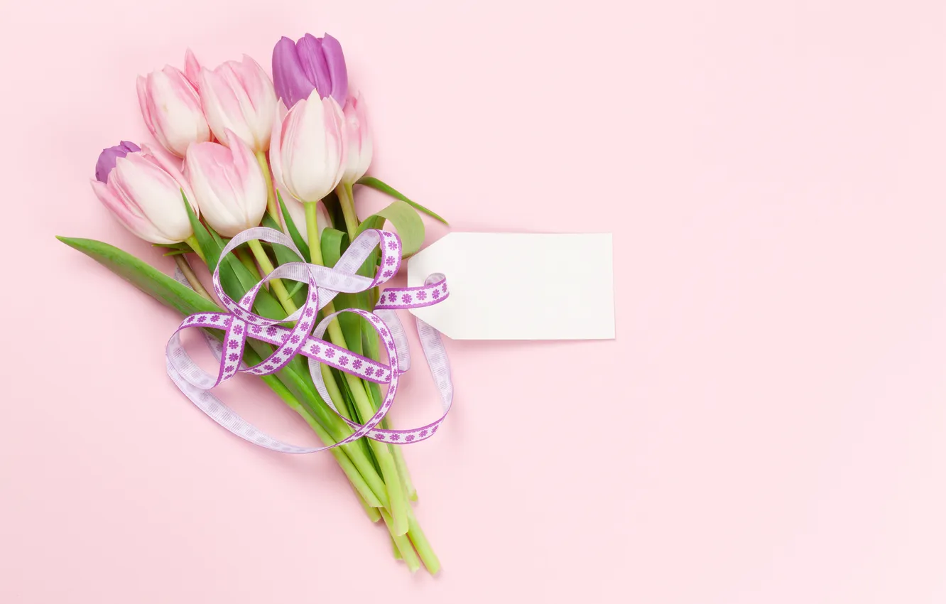 Photo wallpaper flowers, tulips, pink background, March 8, pink, flowers, background, tulips
