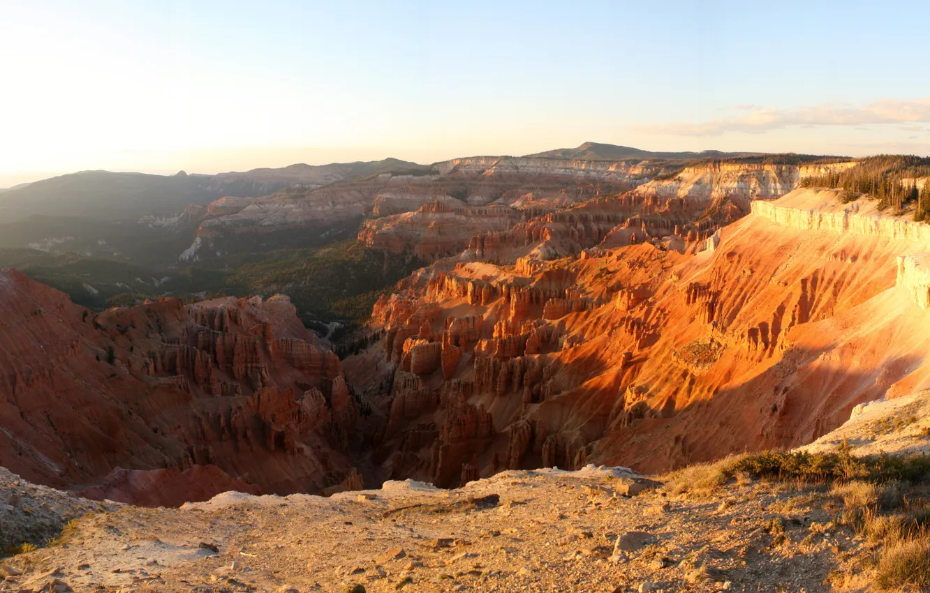 Photo wallpaper sand, forest, the sky, grass, clouds, trees, landscape, sunset