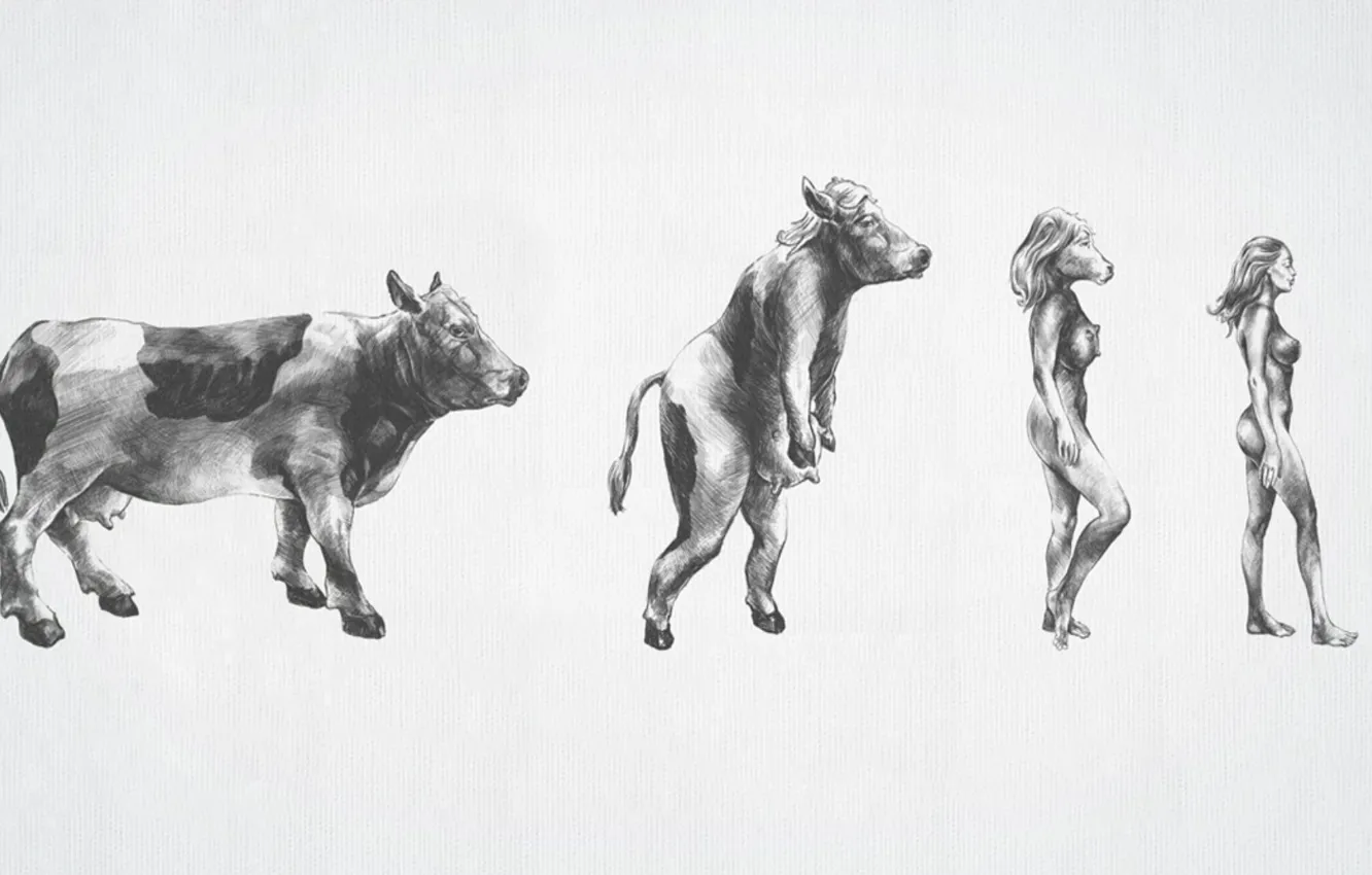 Photo wallpaper figure, evolution, Chicks