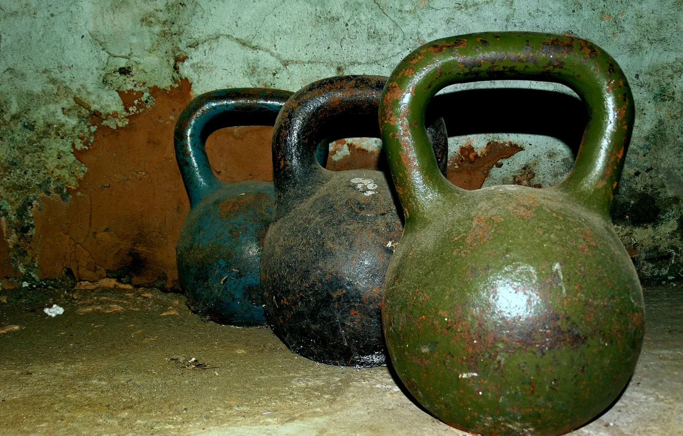 Photo wallpaper iron, Schwarzenegger, rod, bodybuilding, weight, rocking, dumbbells, Protein