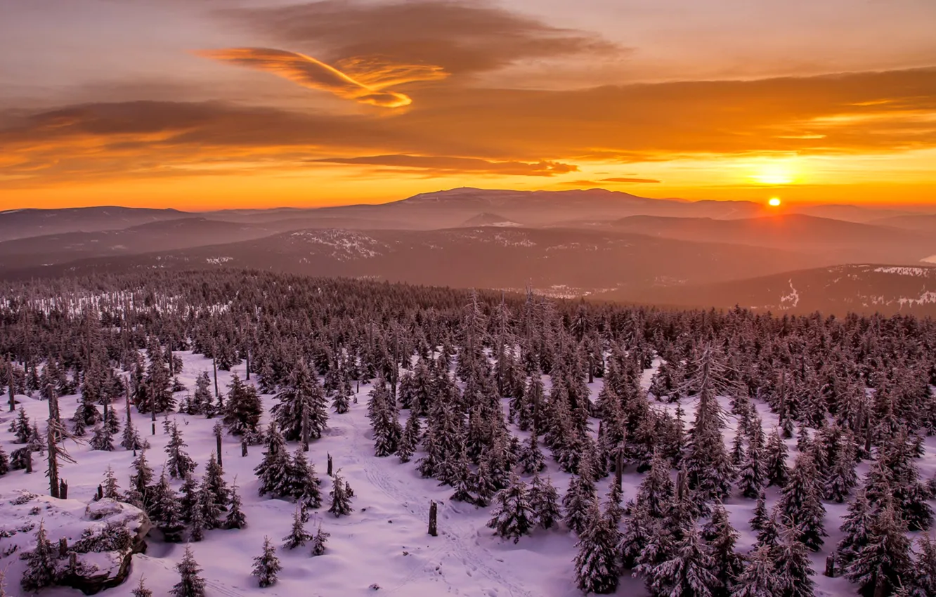 Photo wallpaper winter, the sky, clouds, trees, sunset, mountains