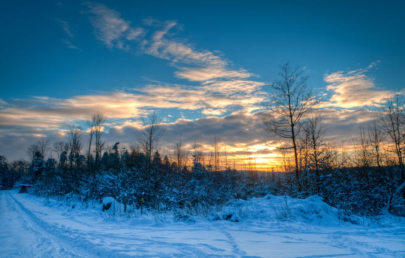 Photo wallpaper winter, road, the sky, clouds, snow, trees, sunset, nature