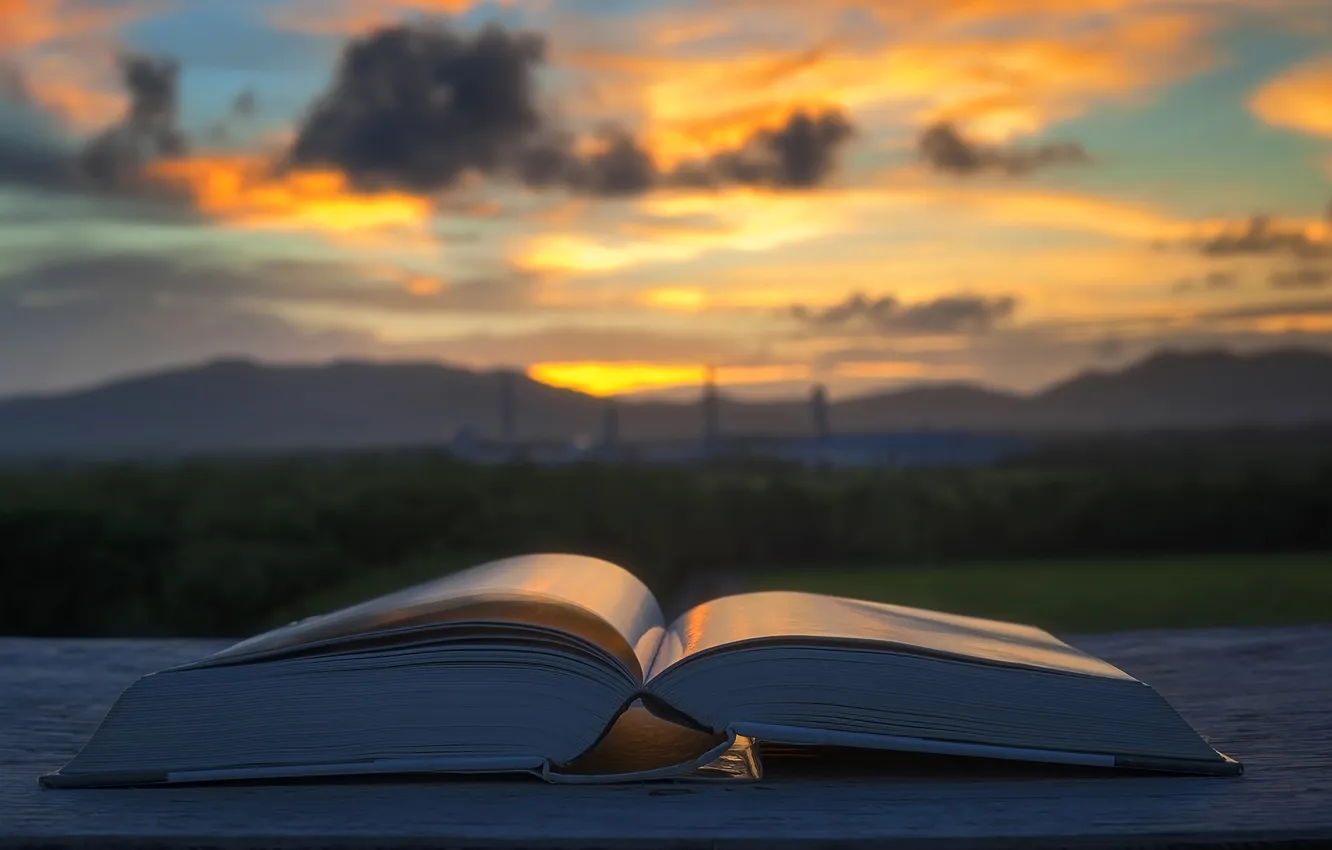 Photo wallpaper the sky, grass, clouds, landscape, sunset, nature, plant, glow