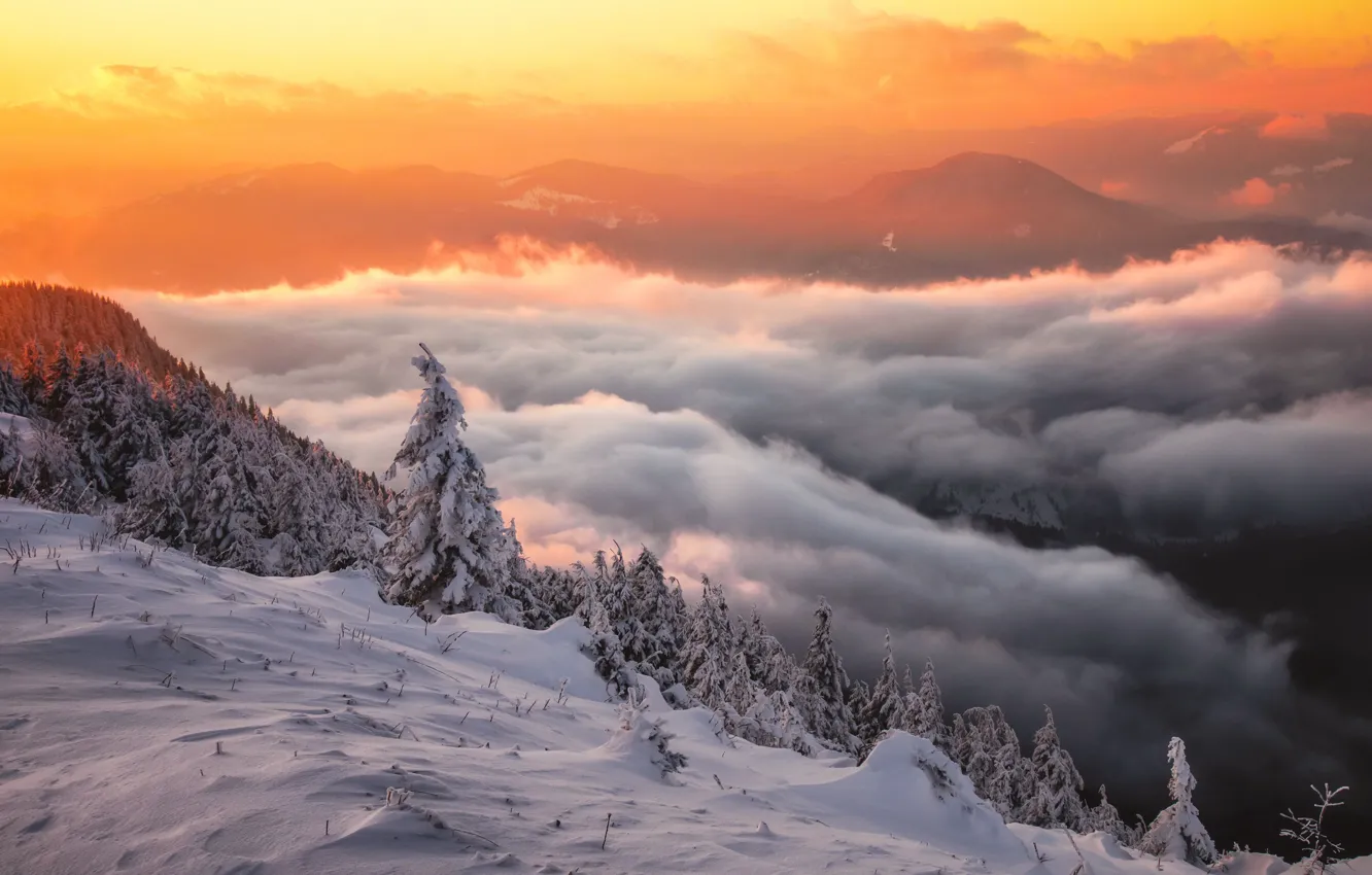 Photo wallpaper winter, clouds, snow, trees, landscape, sunset, mountains, nature