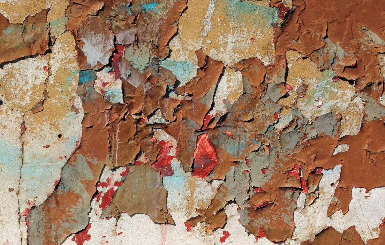 Photo wallpaper wall, paint, texture