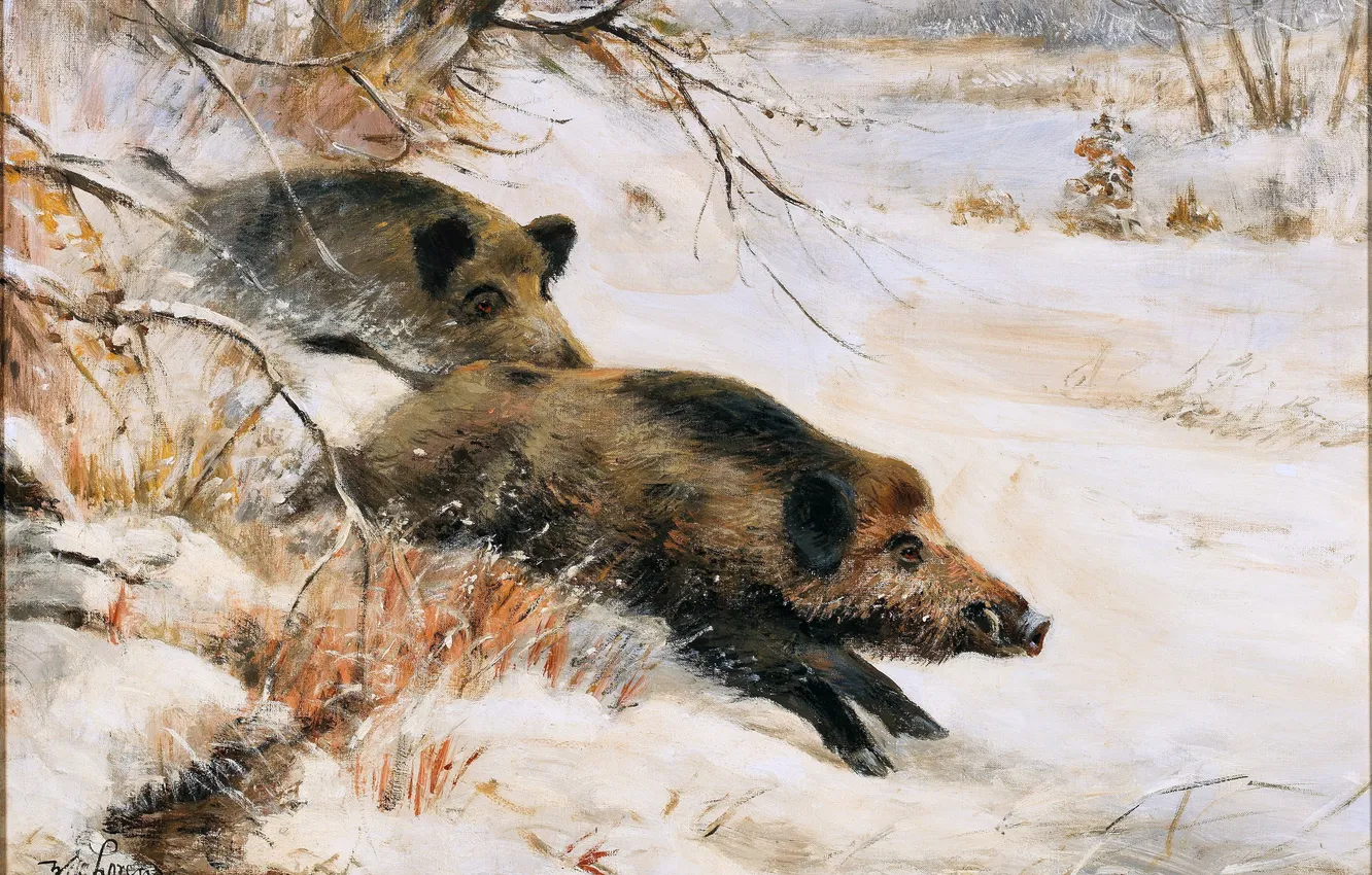 Photo wallpaper winter, snow, trees, picture, running, boar, two, German artist