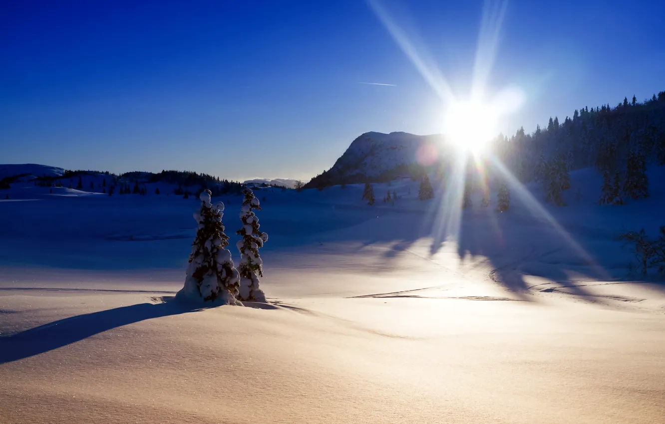 Photo wallpaper winter, light, snow, landscape