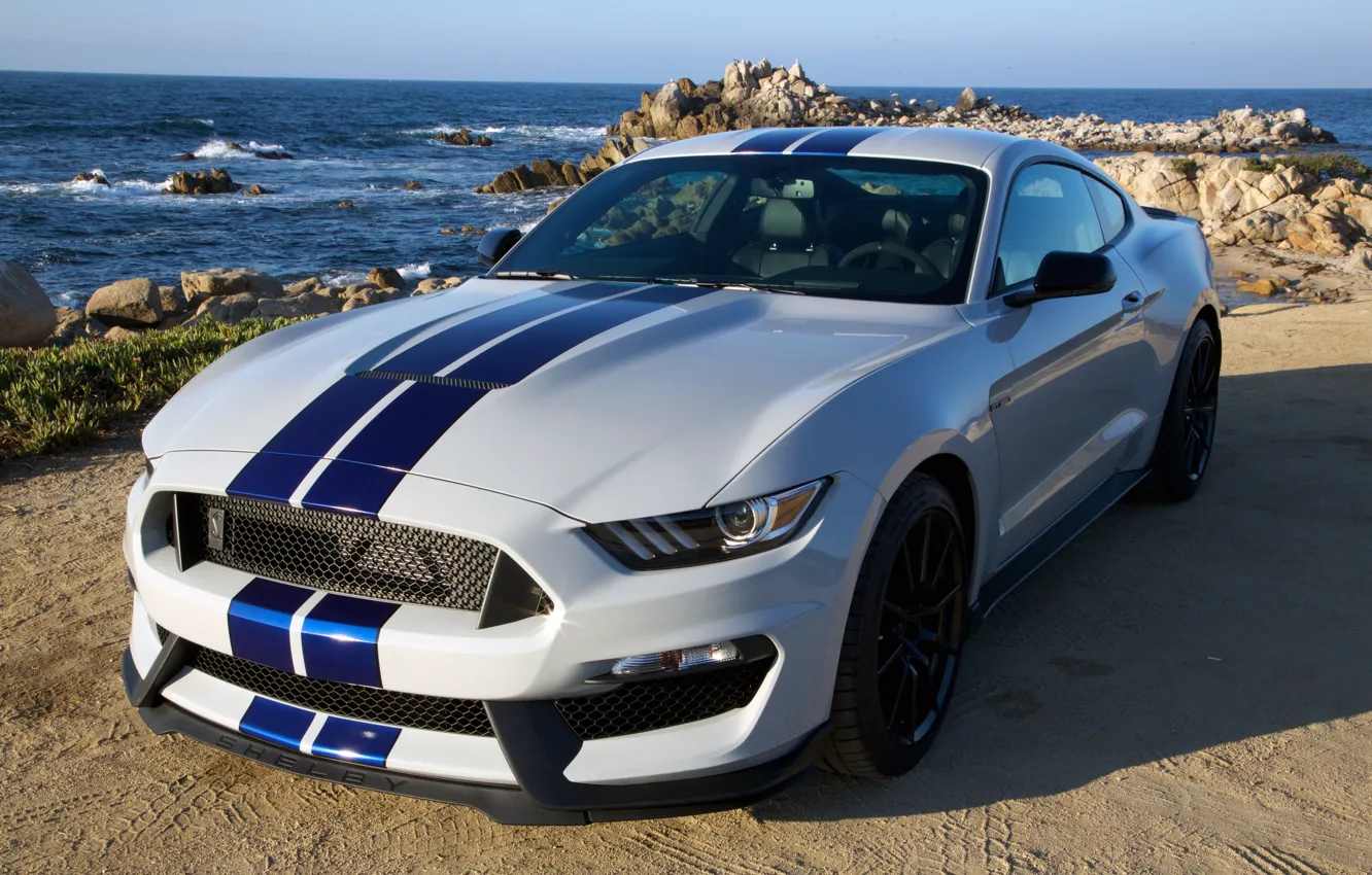 Photo wallpaper Mustang, Ford, Shelby, Mustang, Ford, GT350, 2015