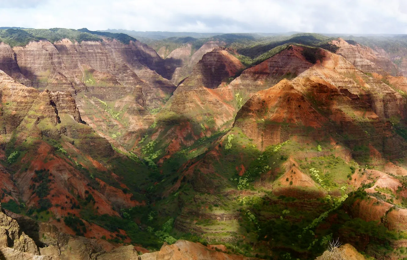 Photo wallpaper greens, forest, the sky, clouds, trees, landscape, stones, photo