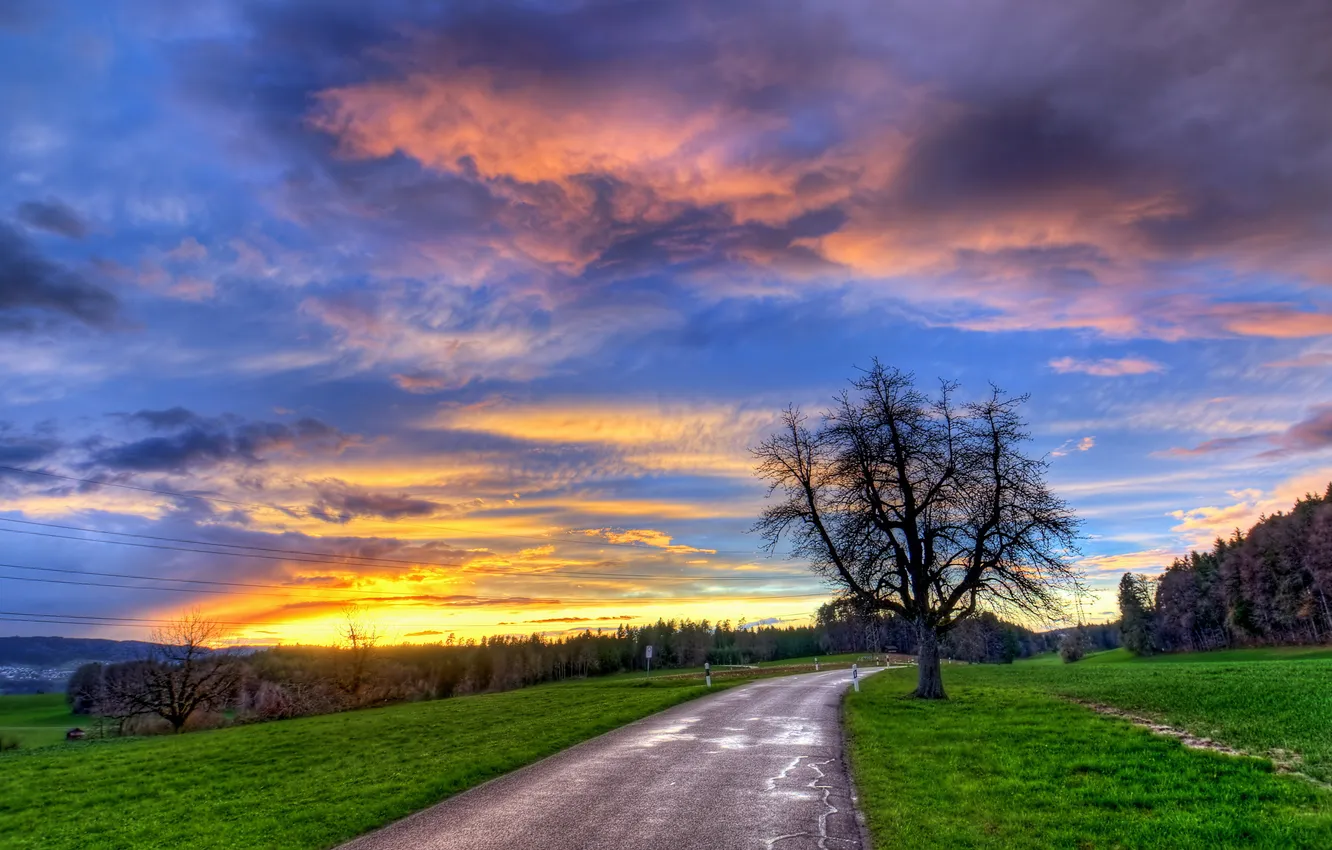Photo wallpaper road, landscape, sunset, tree