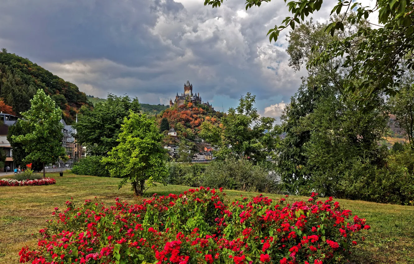 Photo wallpaper forest, clouds, trees, flowers, clouds, river, castle, mountain
