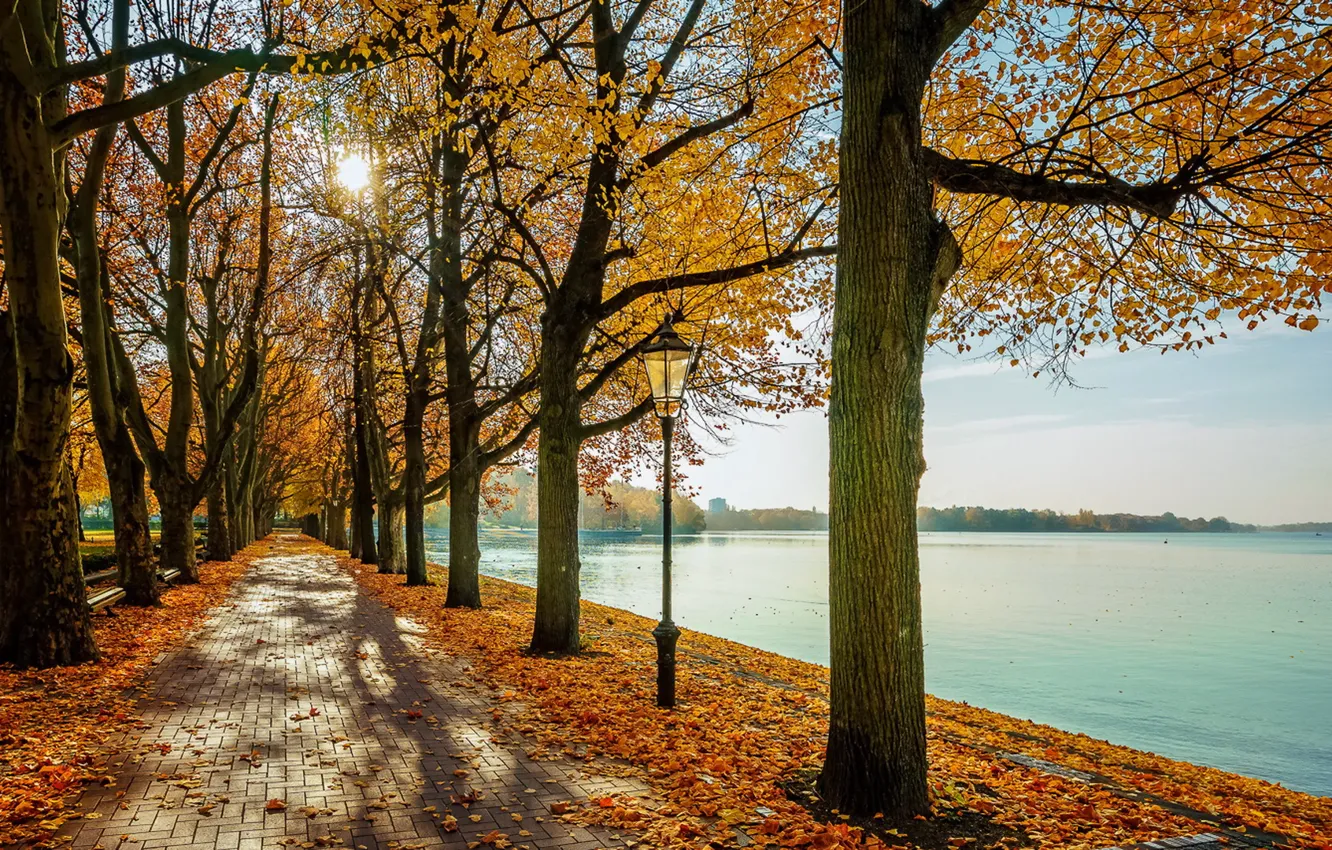 Photo wallpaper autumn, the city, street