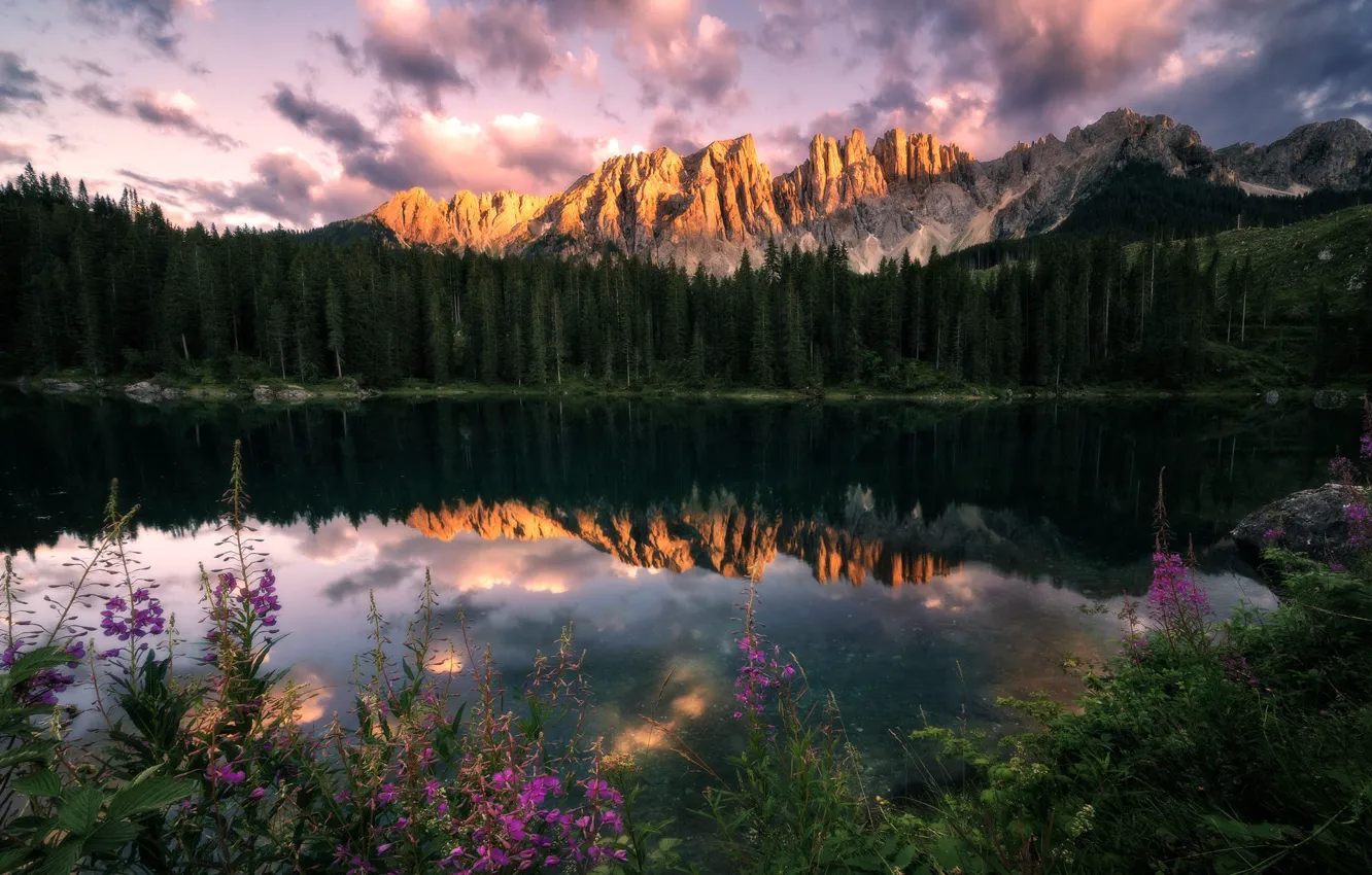 Photo wallpaper forest, summer, flowers, mountains, lake, reflection, shore, pond