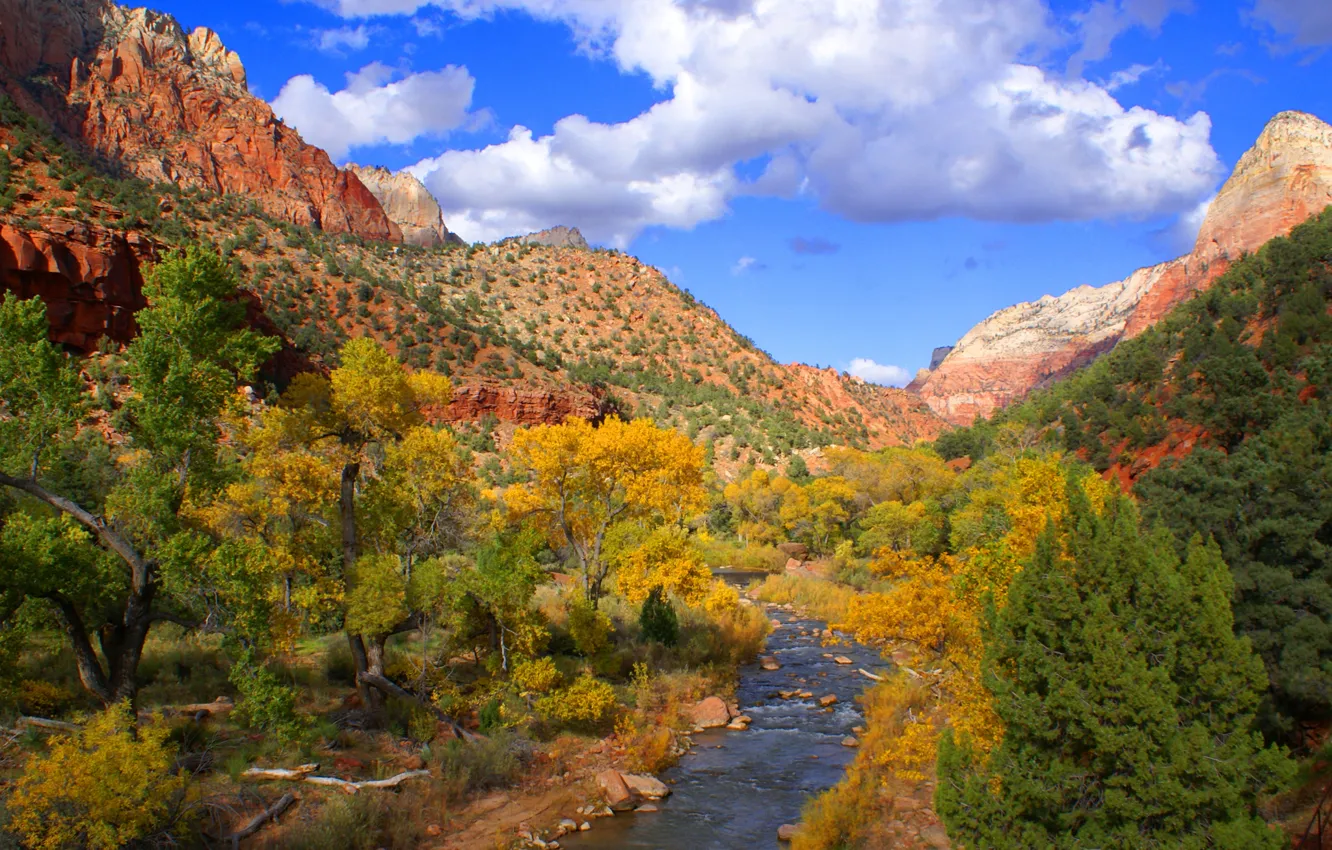 Photo wallpaper the sky, clouds, trees, mountains, river, rocks