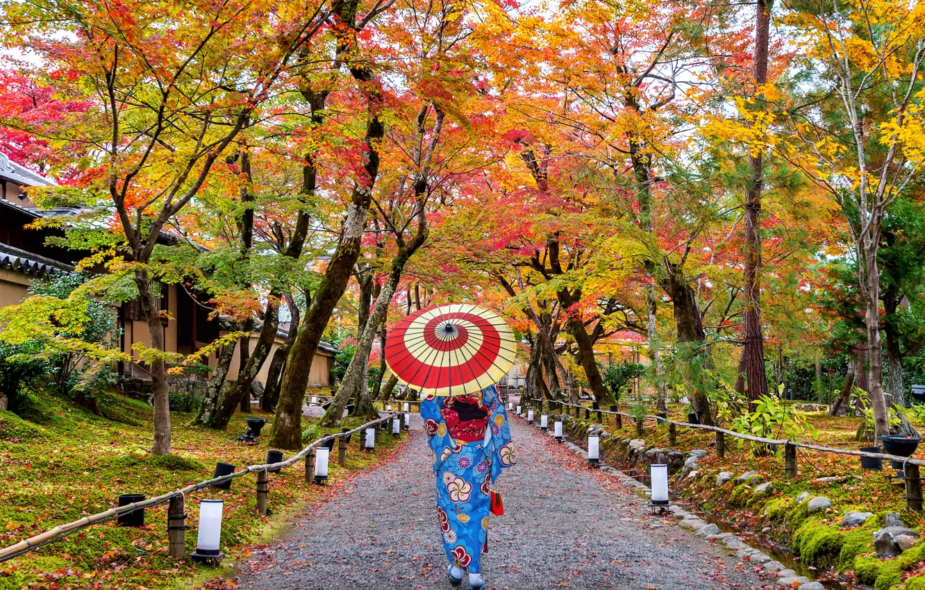Photo wallpaper autumn, leaves, girl, trees, Park, colorful, Japan, Japan