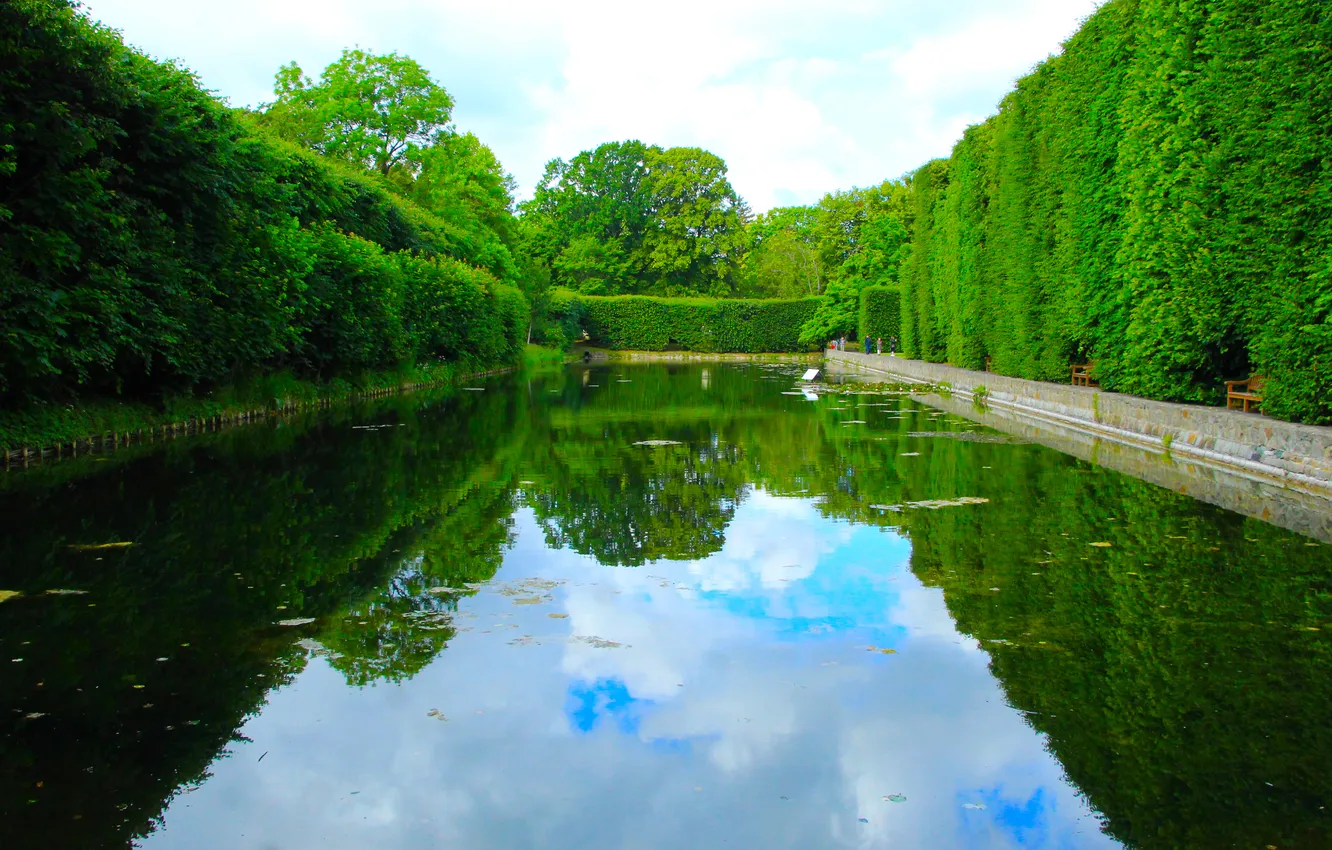 Photo wallpaper water, park, plants, pond