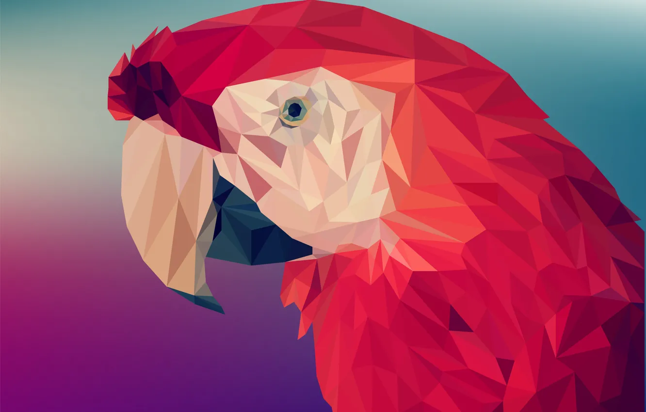 Photo wallpaper red, parrot, triangle