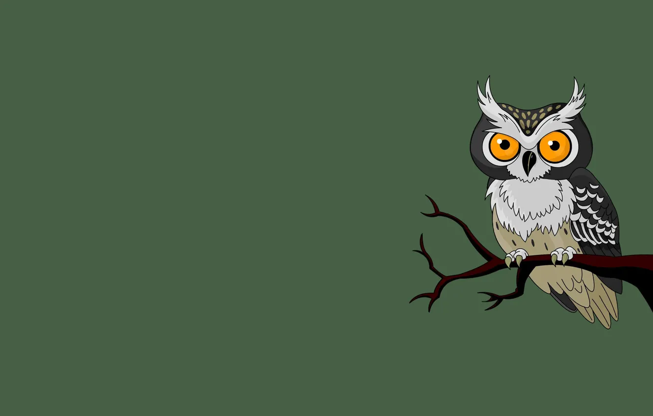 Photo wallpaper owl, bird, minimalism, branch, green background, owl