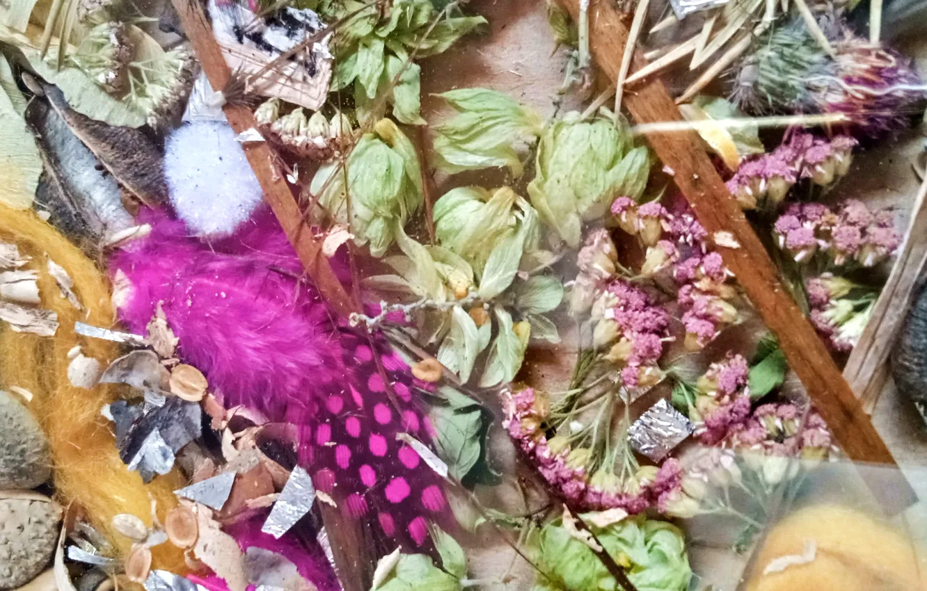 Photo wallpaper design, color, art, beautiful, creativity, texture, art