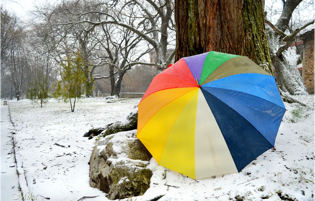 Photo wallpaper Winter, Snow, Umbrella, Winter, Snow, Umbrella