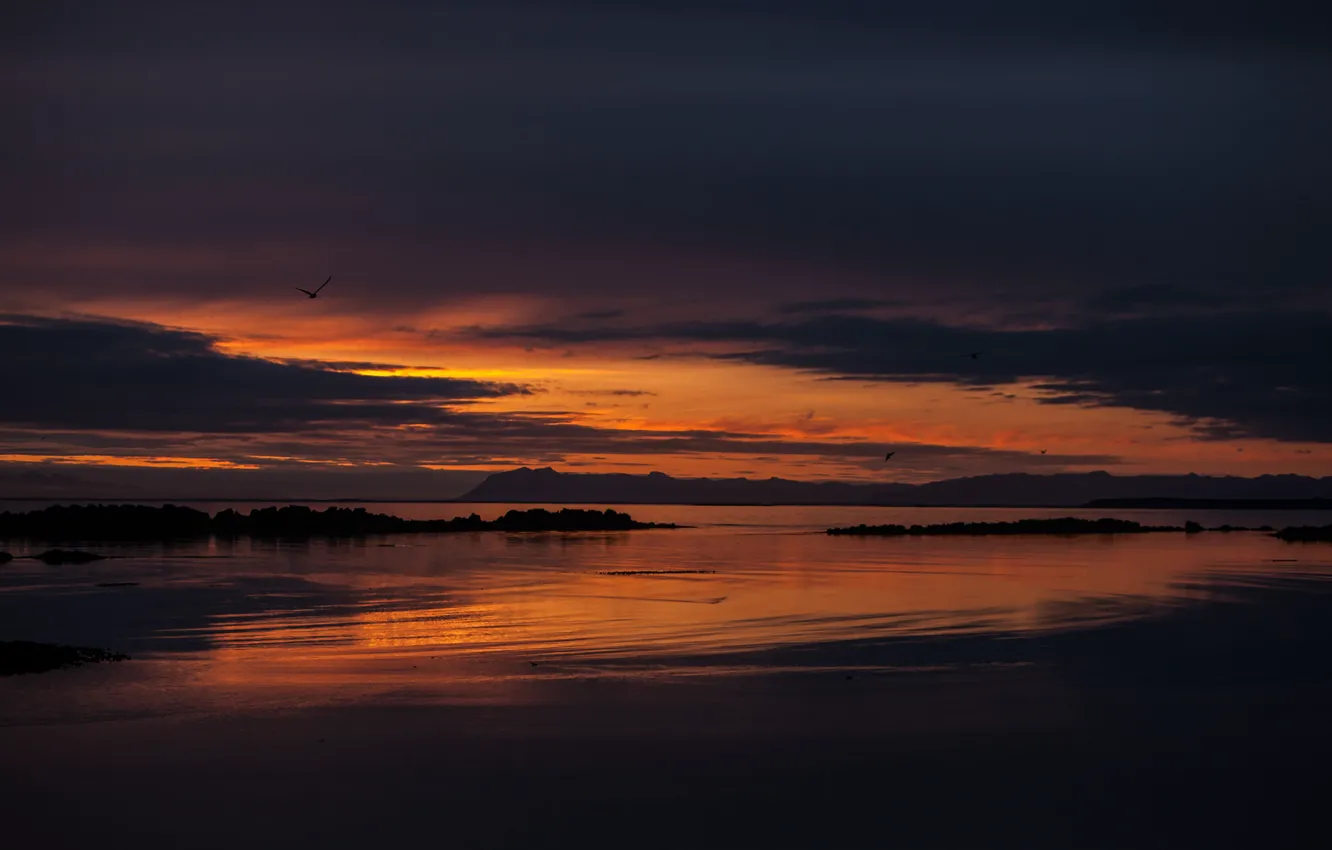 Photo wallpaper the sky, sunset, orange, clouds, the ocean, bird, shore, the evening