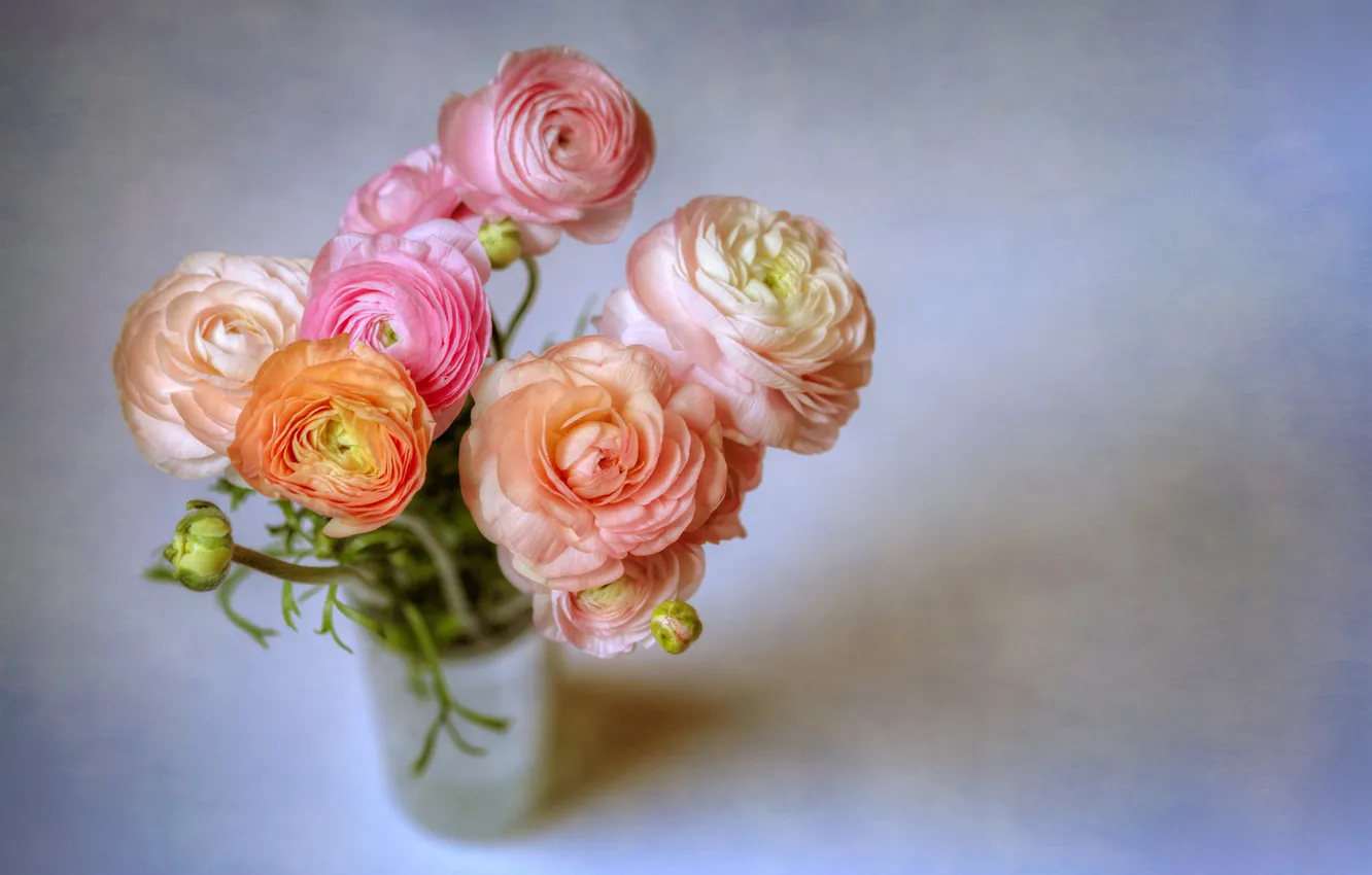 Photo wallpaper flowers, gentle, buttercups