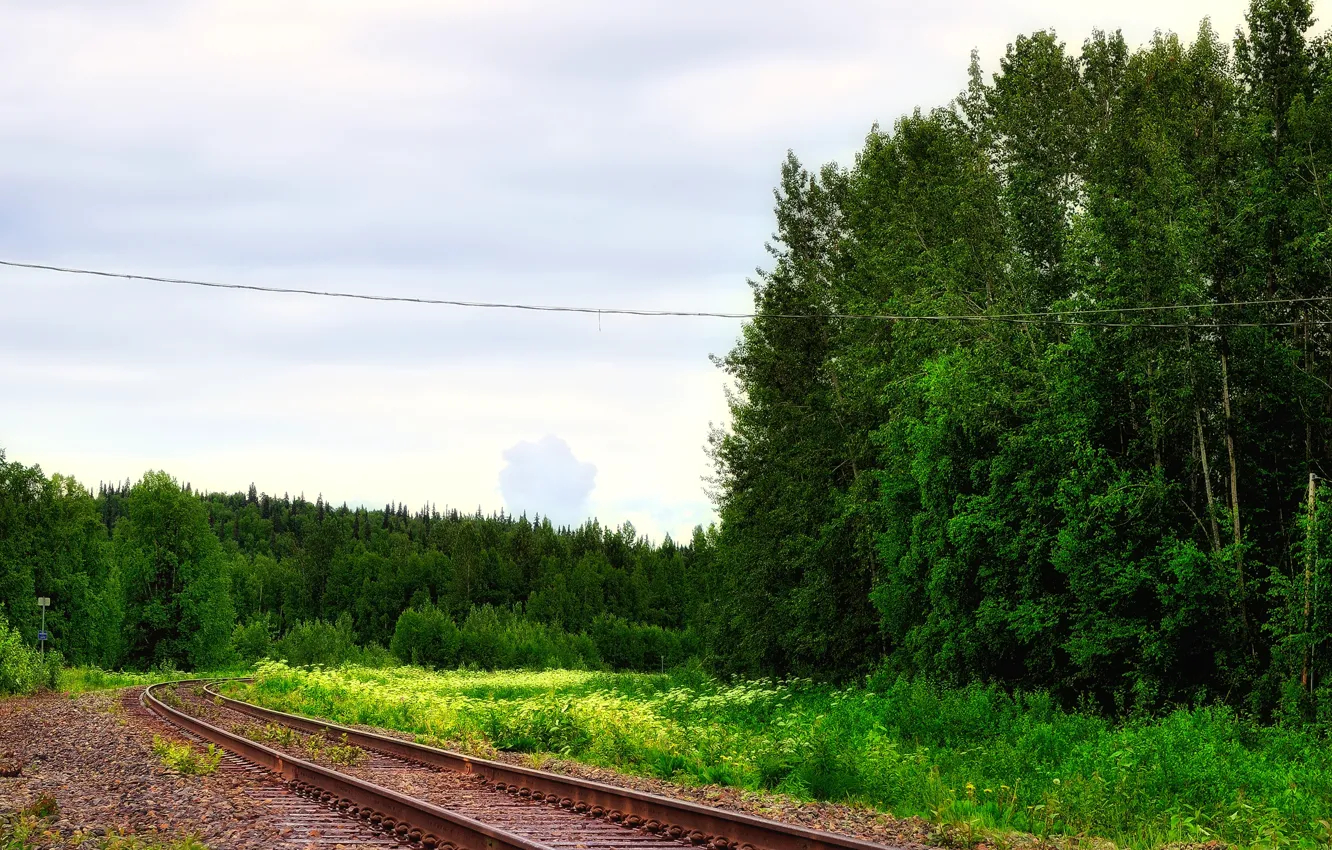 Photo wallpaper road, forest, the sky, rails