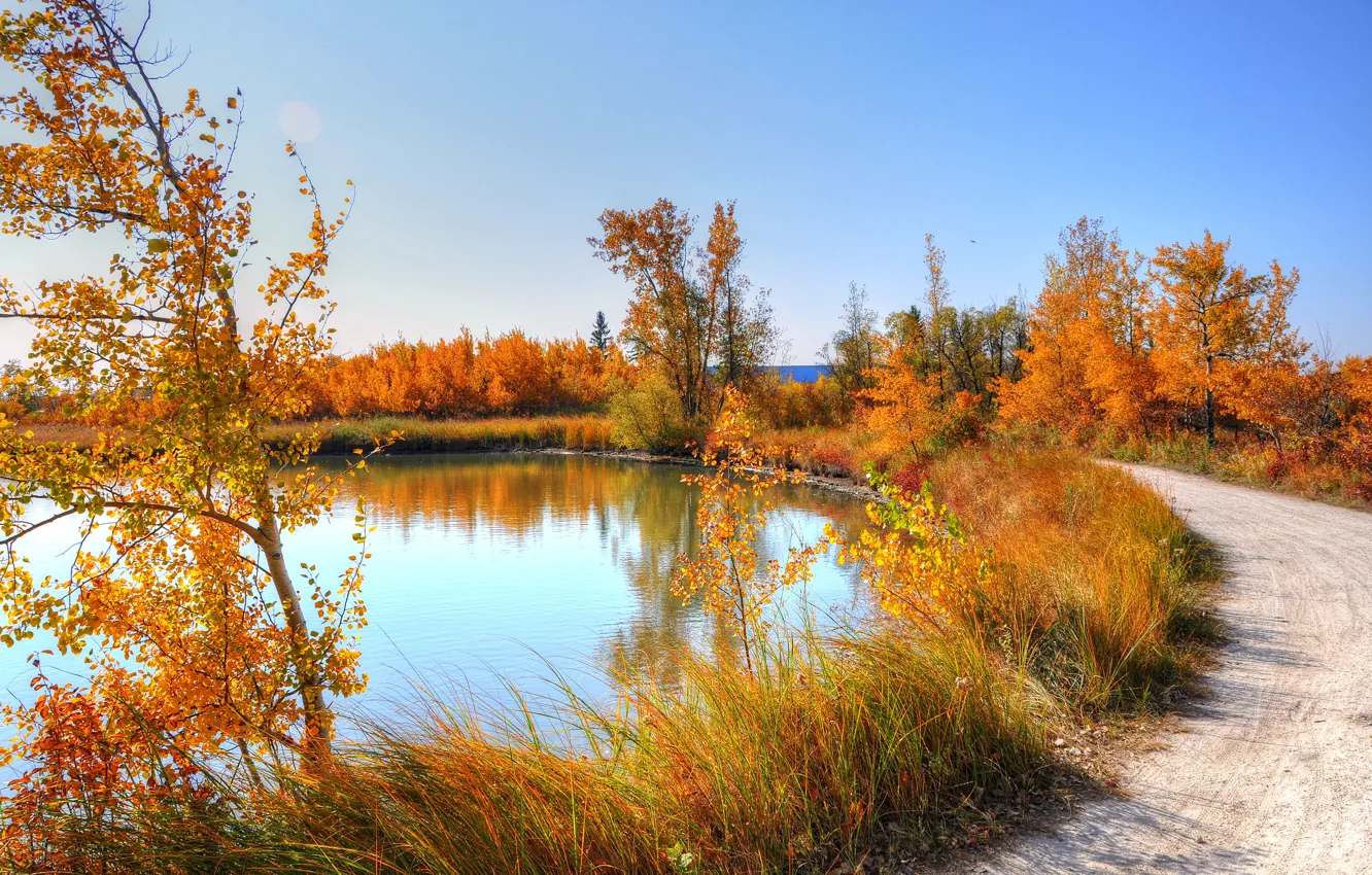 Photo wallpaper road, autumn, the sky, grass, leaves, trees, nature, pond