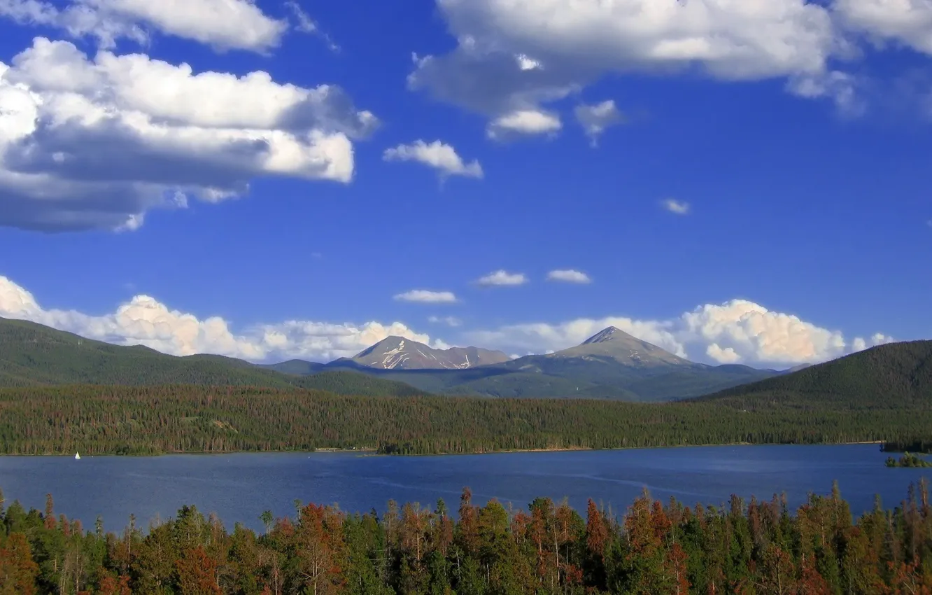 Photo wallpaper forest, clouds, trees, lake